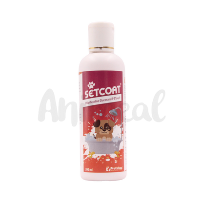 Setcoat Chg 5% Shampoo for Dogs, 200ml - Animeal