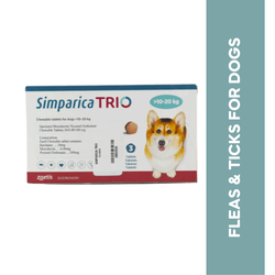 Simparica Trio Chewable Tablet for Dogs 10 to 20kg, 1 Tablet - Animeal