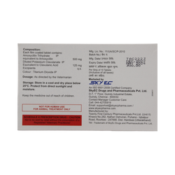 Sky Ec Beetapet 625mg Amoxicillin Clavulanate Tablets, 10 Tablets - Animeal