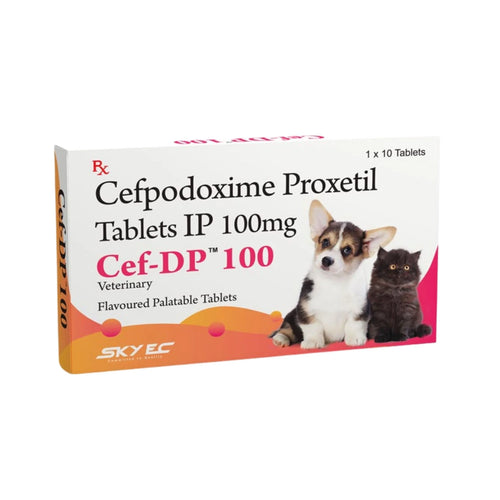 Sky Ec Cef-DP 100 Cefpodoxime Tablets for Dogs and Cats, 10 Tablets - Animeal