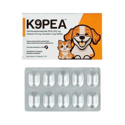 Stanford K9pea Tablet for Dogs and Cats, 10 Tablets - Animeal