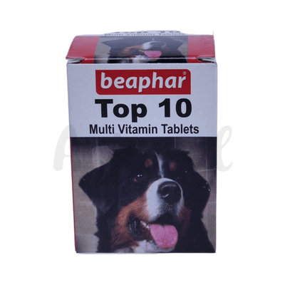 TOP 10 DOG TAB (L) - Animeal