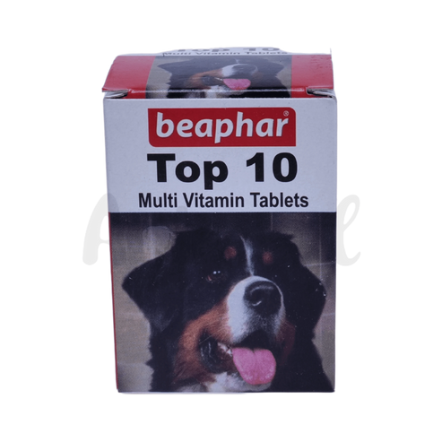 TOP 10 DOG TAB (L) - Animeal