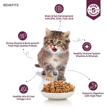 TOPTAIL KITTEN SALMON & CHICKEN DRY FOOD [400 GM] - Animeal