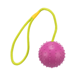Trixie Ball TPR Toy for Dogs and Cats - Animeal