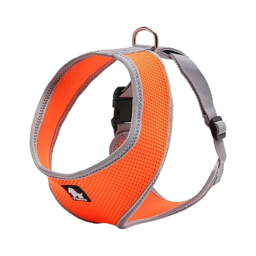 TRUELOVE CAT & SMALL DOG HARNESS ORANGE (M) - Animeal