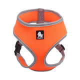 TRUELOVE CAT & SMALL DOG HARNESS ORANGE (XS)