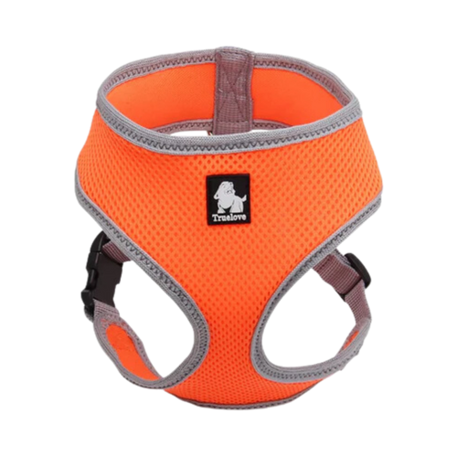 TRUELOVE CAT & SMALL DOG HARNESS ORANGE (XS) - Animeal