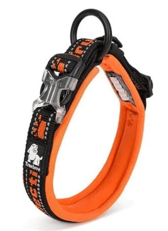 TRUELOVE NEO-PADDED COLLAR BLACK & ORANGE (XL) - Animeal