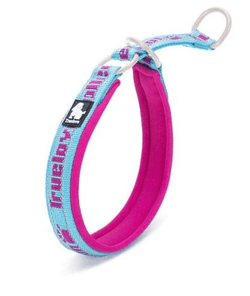 TRUELOVE NEO-PADDED COLLAR SKY BLUE & FUCHSIA (L) - Animeal