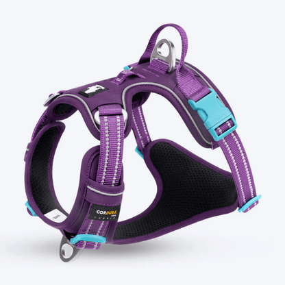 TRUELOVE NO PULL CORDURA HARNESS PURPLE (M) - Animeal