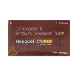 TTK Nepocef-cv 162.5mg Tablet for Dogs and Cats, 10 Tablets - Animeal