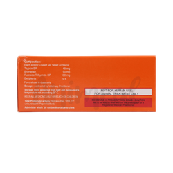 TTK Penetrat Tablet for Dogs and Cats, 10 Tablets - Animeal
