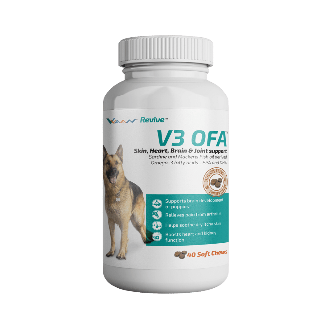 V3 OFA 40TABS - Animeal