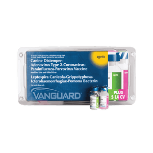 VANGUARD CV (CORONA) - Animeal