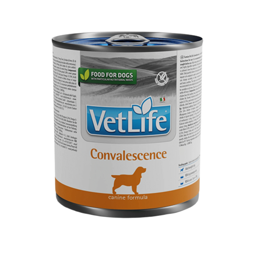 VETLIFE CONVALESCENCE DOG CAN FOOD [300 GM] - Animeal
