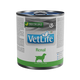 VETLIFE RENAL DOG CAN FOOD [300 GM]