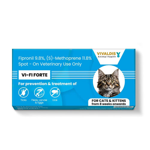 VI-FI FORTE CAT KITTEN SPOT ON - Animeal