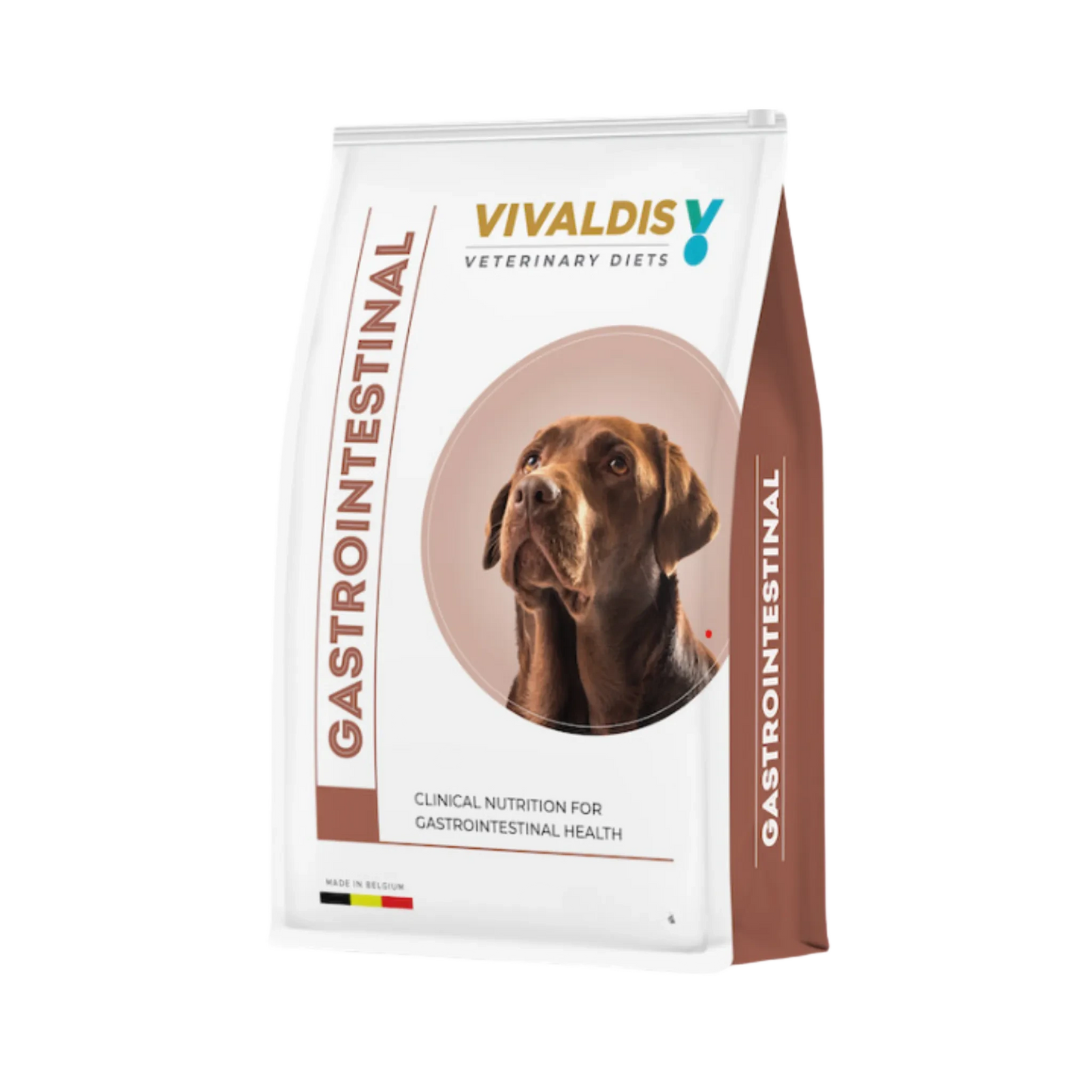 VIVALDIS RX DIET GASTRO DRY FOOD [80 GM] - Animeal