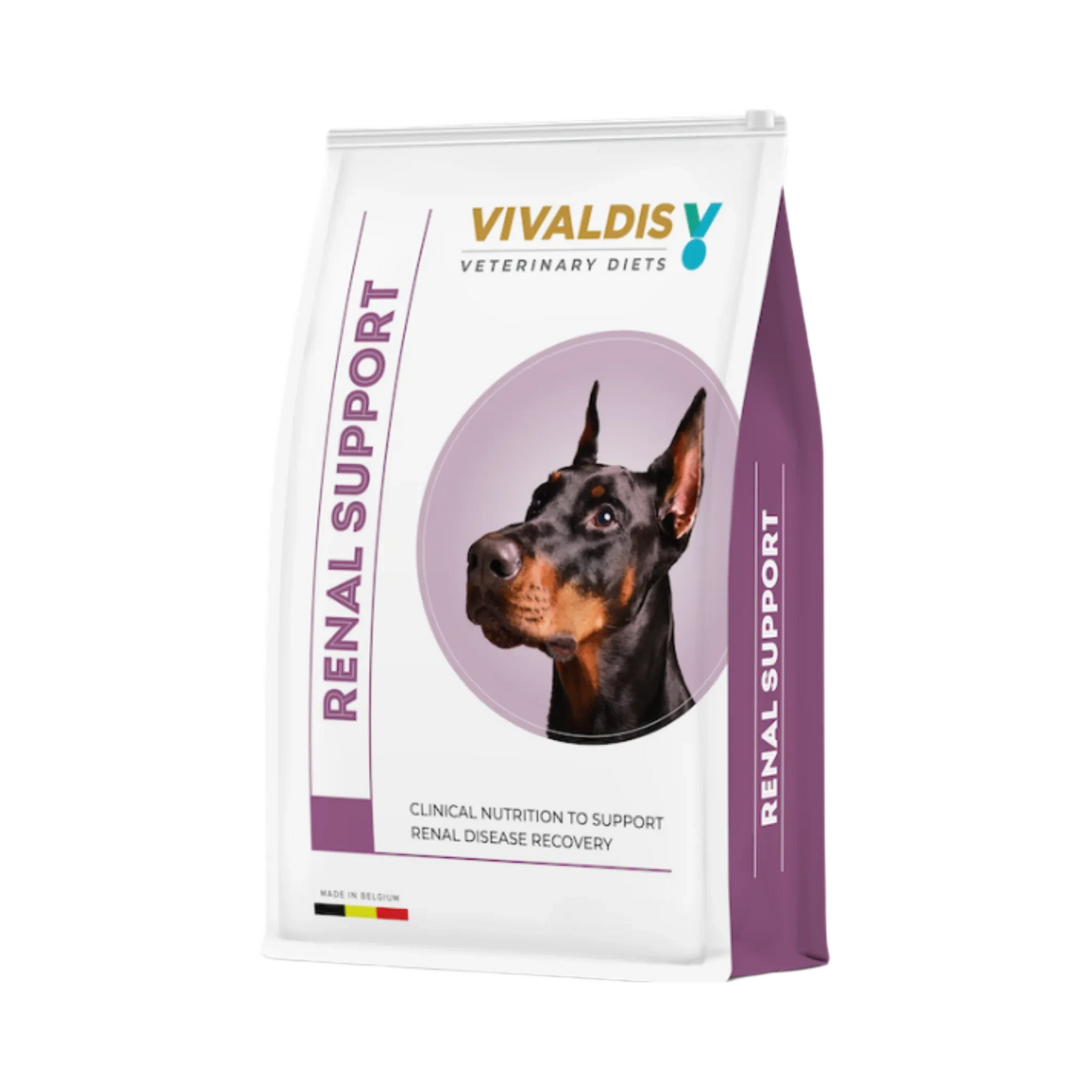 VIVALDIS RX DIET RENAL DRY FOOD [80 GM] - Animeal