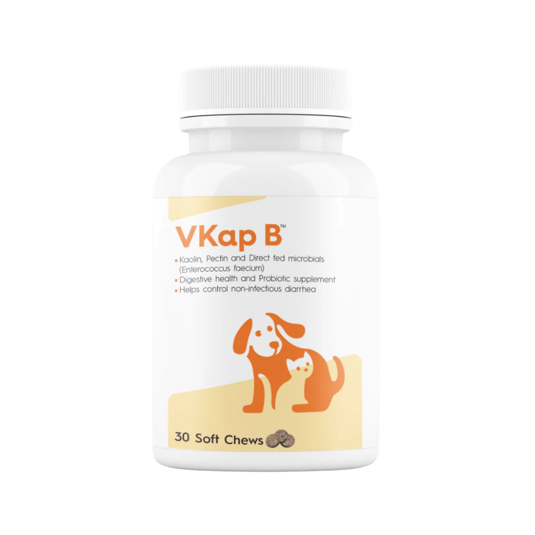 VKAP B TABLET (S)