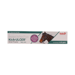 Veko Kick Ulcer Oral Paste for Horses, 6.15g - Animeal