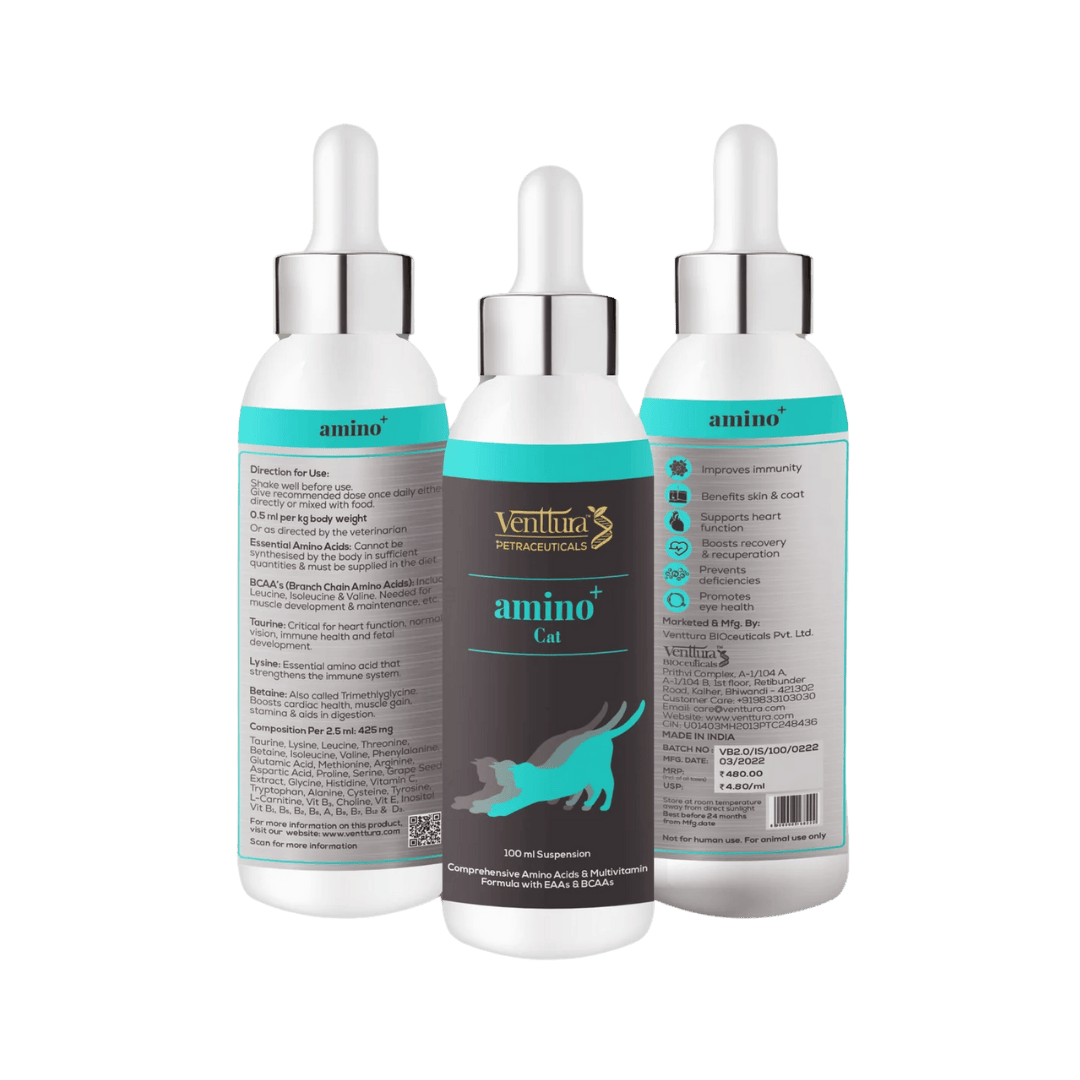 Venttura Amino Plus Cat Liquid for Cats, 100ml - Animeal