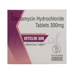 Vetclin 300mg Tablet, 10 Tablets - Animeal
