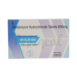 Vetclin 600mg Tablet, 10 Tablets - Animeal