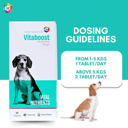 Vitaboost Multivitamins and Minerals Supplement for Dogs- Pack of 60 Tablets - Animeal