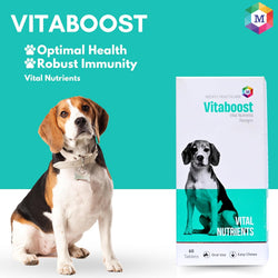 Vitaboost Multivitamins and Minerals Supplement for Dogs- Pack of 60 Tablets - Animeal