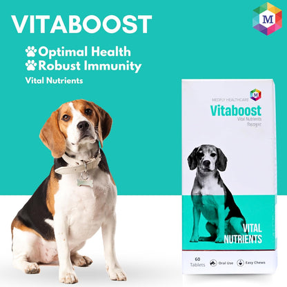 Vitaboost Multivitamins and Minerals Supplement for Dogs- Pack of 60 Tablets - Animeal