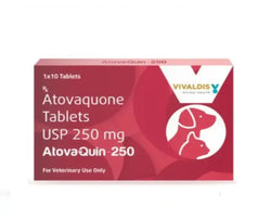 Vivaldis Atovaquin 250mg Tablet for Dogs and Cats, 10 Tablets - Animeal