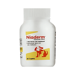Vvaan Niaderm 250mg Tablet for Dogs and Cats, 30 Capsules - Animeal