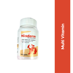 Vvaan Niaderm 500mg Tablet for Dogs and Cats, 30 Tablets - Animeal