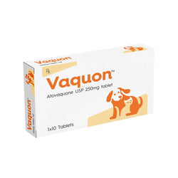 Vvaan Vaquon 250mg Tablet for Dogs and Cats, 10 Tablets - Animeal