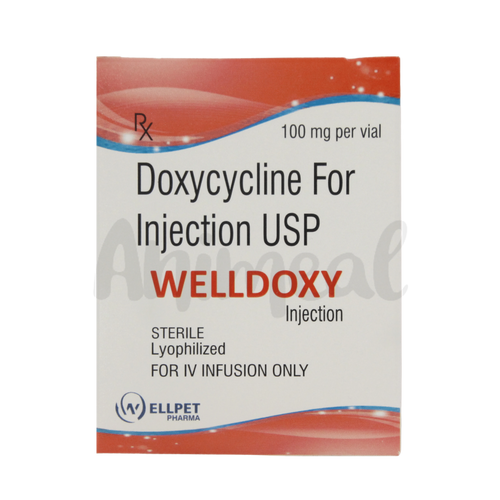 WELLDOXY 100MG TABLET - Animeal