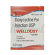 WELLDOXY 100MG TABLET