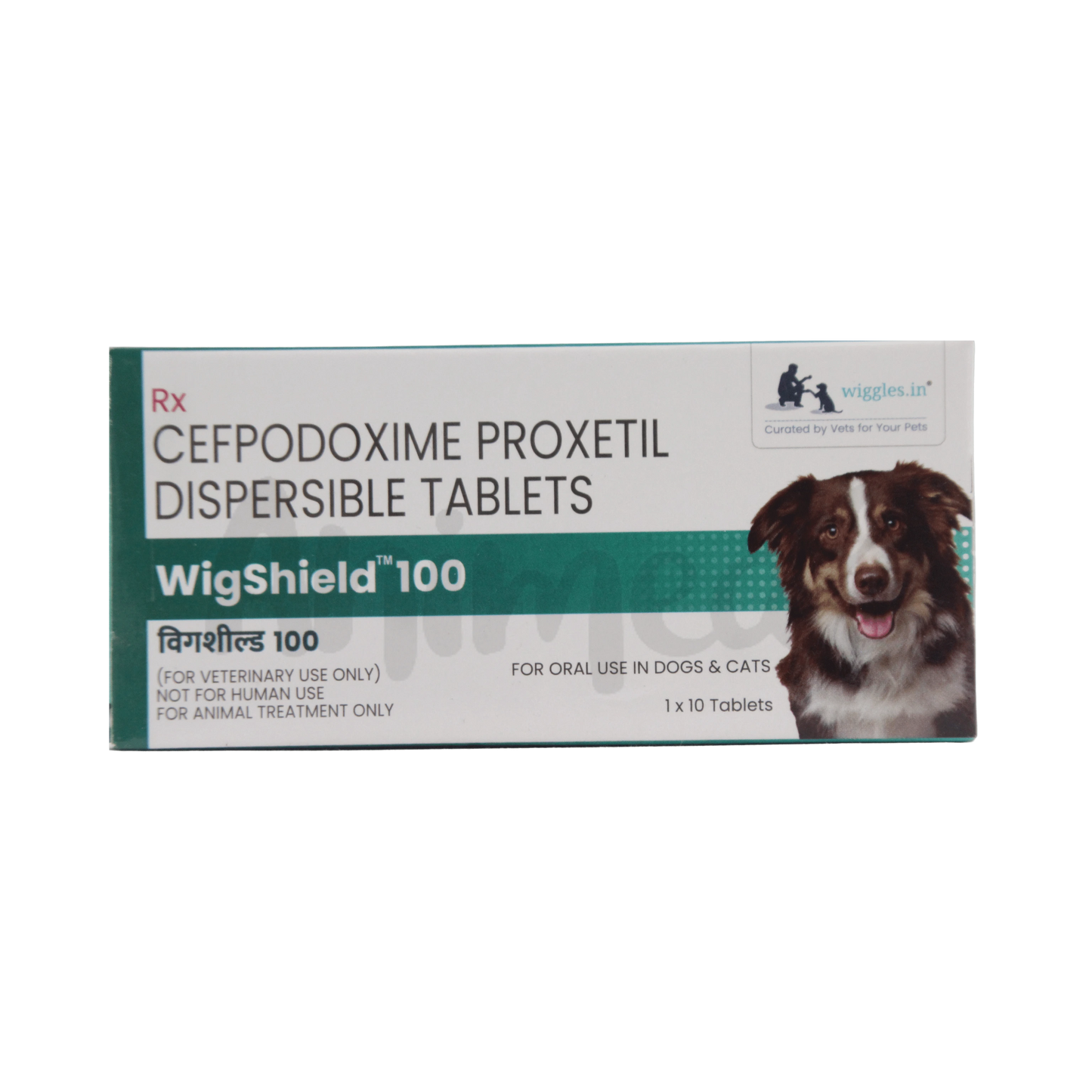 WIGSHIELD 100MG TABLET - Animeal