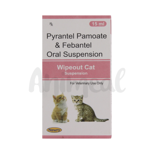 WIPE - OUT CAT SYRUP - Animeal