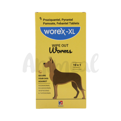 WOREX XL TABLET - Animeal