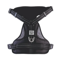 WW ALDO HARNESS BLACK (L) - Animeal