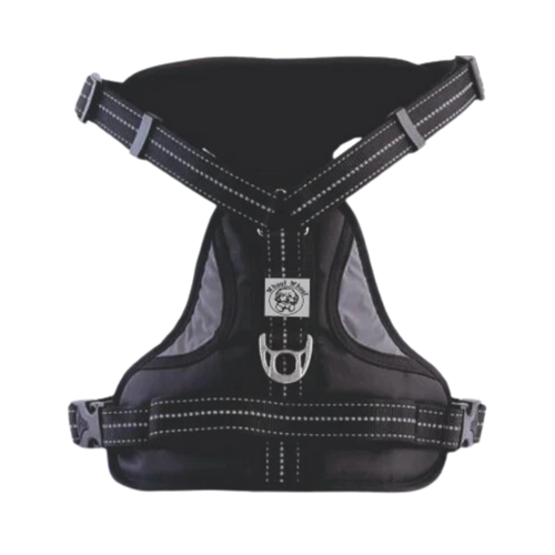 WW ALDO HARNESS BLACK (L) - Animeal