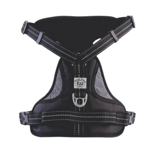 WW ALDO HARNESS BLACK (S) - Animeal
