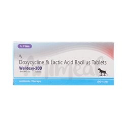 Welldoxy-300mg Tablet for Dogs, 10 Tablets - Animeal