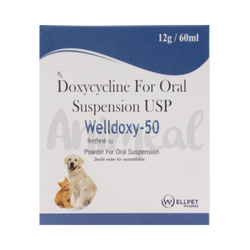 Welldoxy-50 Syrup for Dogs and Cats, 60ml - Animeal
