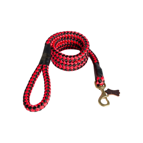 ZP ROYAL LEASH WITH BRASS HOOK (M) - Animeal