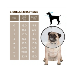 Zeal Pet Elizabethan Collar for Dogs Size 7 (22.5in x 12in) - Animeal