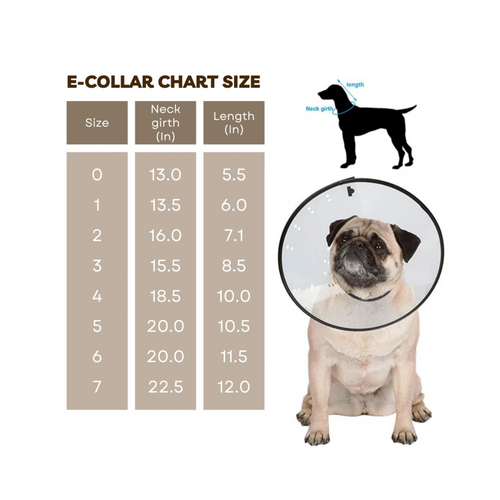 Zeal Pet Elizabethan Collar for Dogs Size 7 (22.5in x 12in) - Animeal