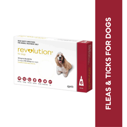 Zoetis Revolution (10-20kg) Dog Spot-On, 1ml - Animeal